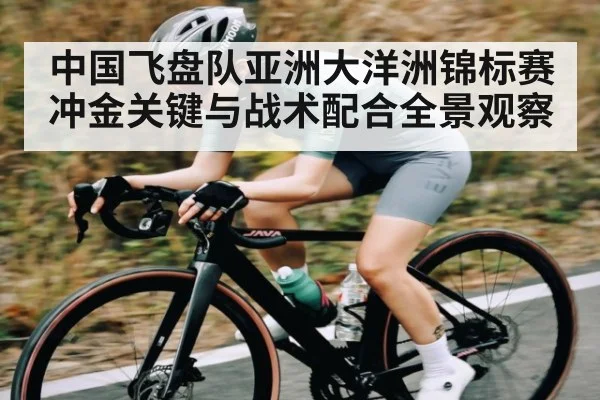 中国飞盘队亚洲大洋洲锦标赛冲金关键与战术配合全景观察